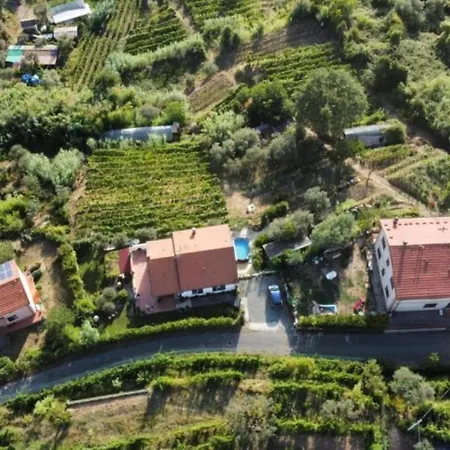 In Vino Veritas 3*